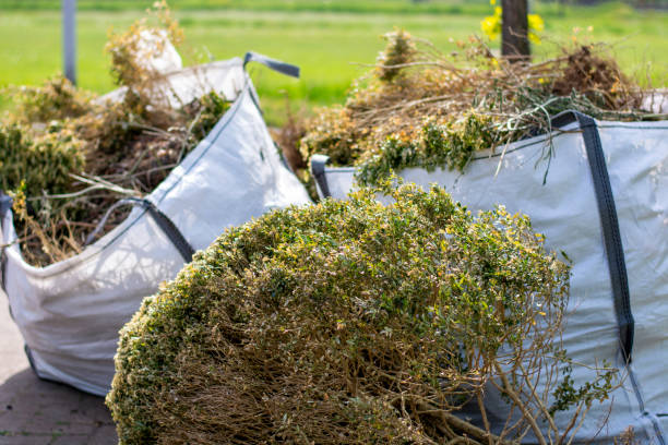 Best Same-Day Junk Removal Services  in Redland, AL